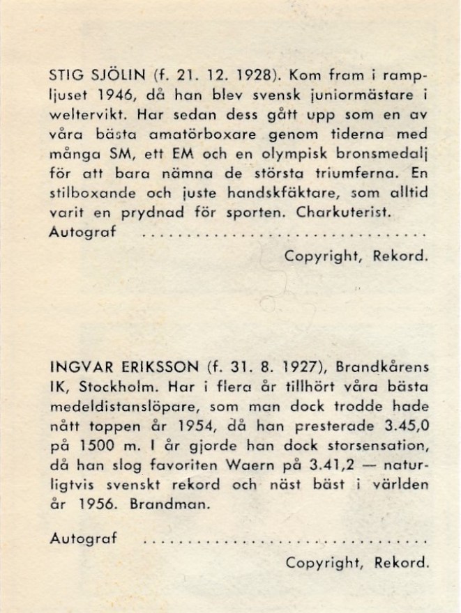 Stig b